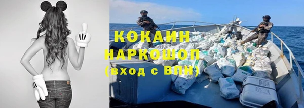 соль ск Михайлов
