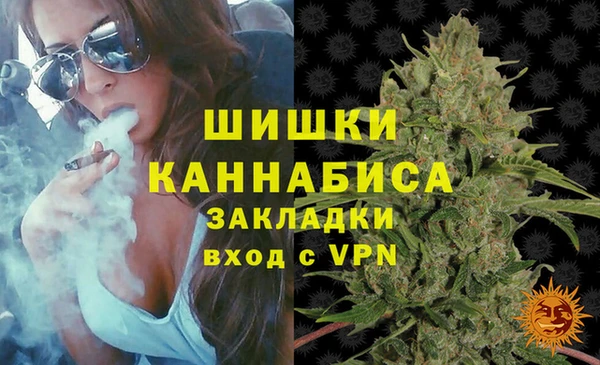 соль ск Михайлов